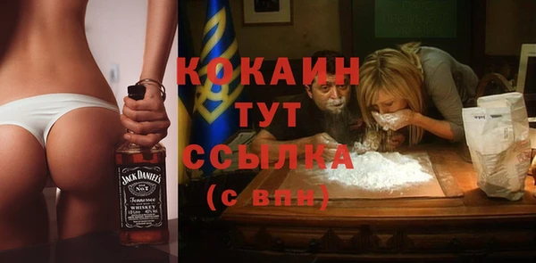 индика Арсеньев