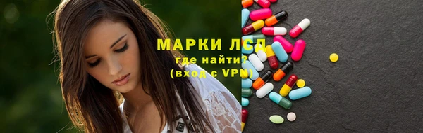 индика Арсеньев
