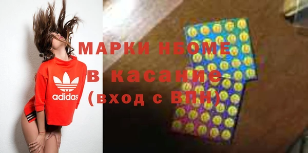 индика Арсеньев