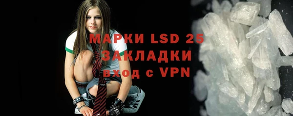 индика Арсеньев