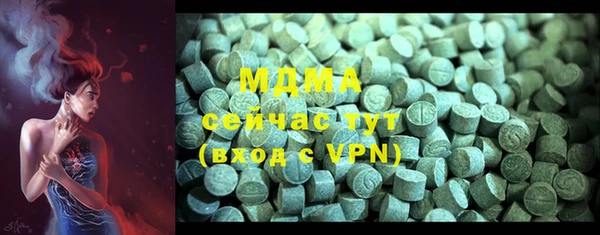 индика Арсеньев